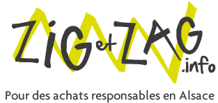 logo-zigetzag