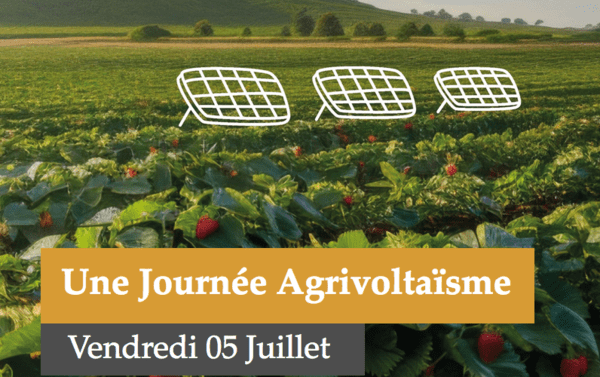 agrivoltaïsme