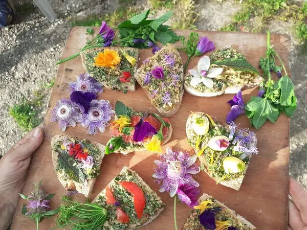 Retour sur notre dernière animation grand public, autour des pratiques pour une alimentation locale et durable accessible au plus grand nombre. alimentation durable