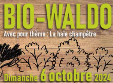 marché des producteurs