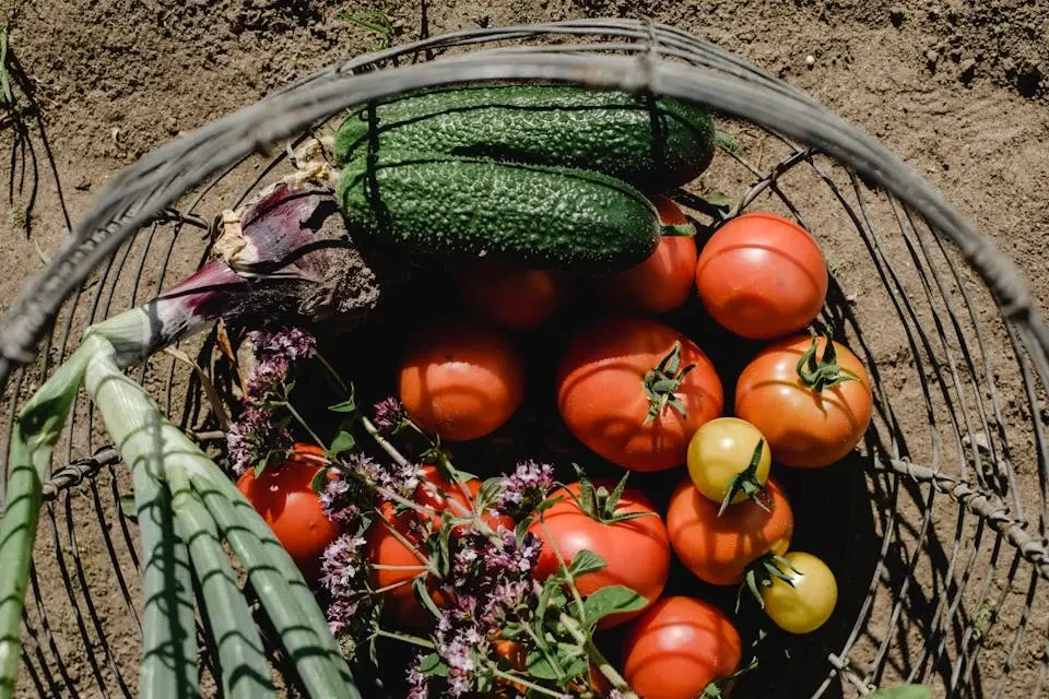 Stammtisch pour une alimentation locale toujours plus responsable panier AMAP