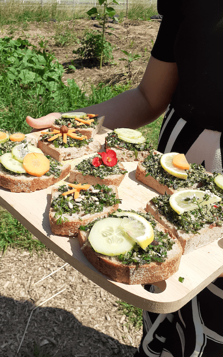 pesto durable jardin hohberg