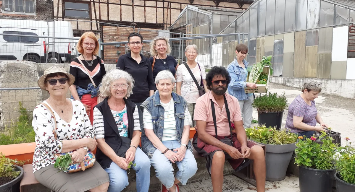 Atelier pesto aux JMV