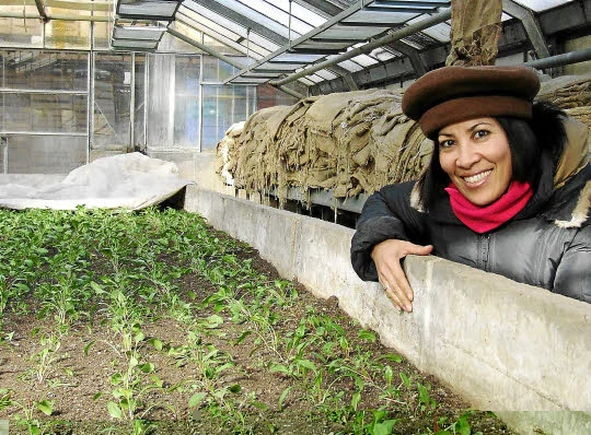Jardins Montagne Verte