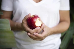Un nouvel espace pour le Pôle Alimentation Durable