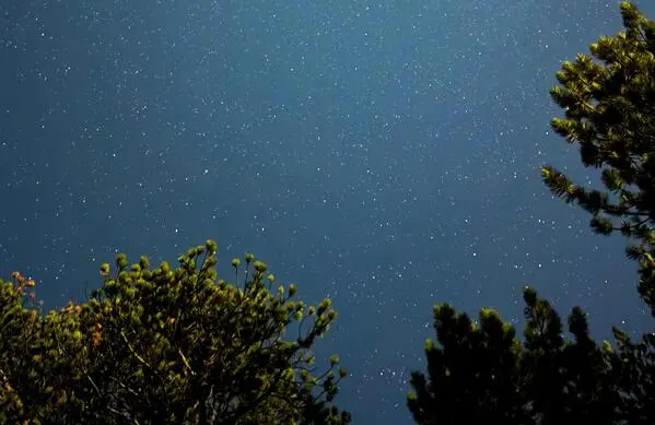 nuit des refuges estivale