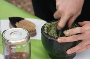 pesto au jardin du Hohberg 2026