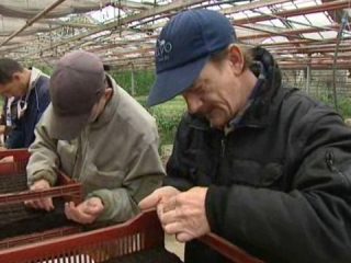 jardins-de-la-montagne-verte-hommes-travaillent