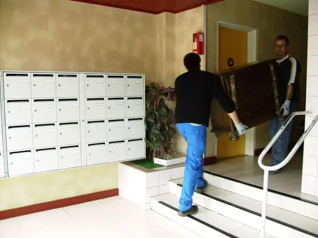 M Intérim Insertion