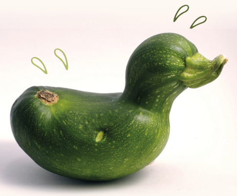 Les Retoqués – Conserverie de Strasbourg